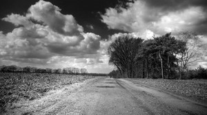 strada, campagna, bianco e nero, alberi, nuvole, voluminoso
