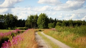 road, country, trees, flowers, roadside, sky, clouds