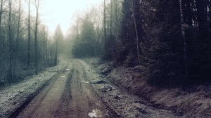 road, country, puddles, gloomy, mystery, forest - wallpapers, picture