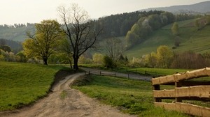 road, country, field, turn, fence, summer