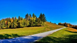 road, straight, line, slope, trees, shadows, clear - wallpapers, picture