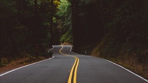 road, marking, trees, forest, turn - wallpapers, picture