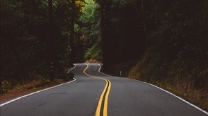 road, marking, trees, forest, turn