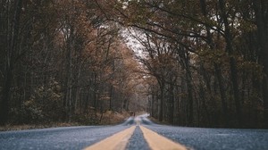 road, marking, trees, turn - wallpapers, picture