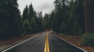 road, marking, trees, turn, asphalt, forest