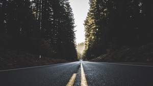road, marking, trees, sky - wallpapers, picture