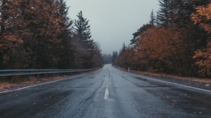 road, marking, trees, cloudy - wallpapers, picture