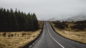 road, marking, trees, rise - wallpapers, picture