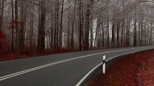 road, marking, double solid, lines, asphalt, paint, turn - wallpapers, picture