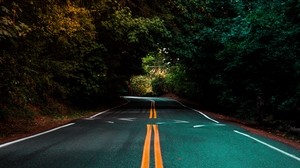 road, marking, turn, trees, asphalt