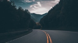 road, marking, turn, trees - wallpapers, picture