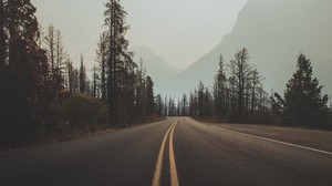 road, marking, fog, trees, sky, turn
