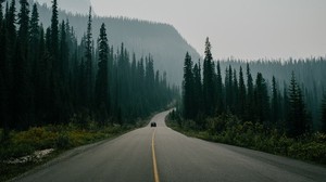 road, marking, fog, mountains, movement