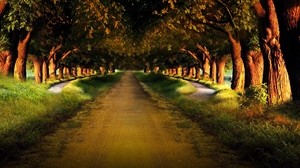road, garden, alley, rows, path, mysterious