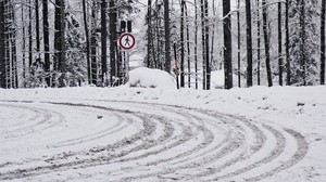 road, snow, turn, trees, winter