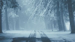 road, snow, fog, winter, trees, traces