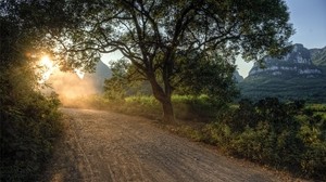 road, light, path, sun, trees, morning, dawn, awakening, country