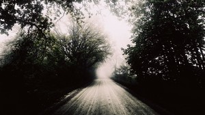 道路、霧、白黒、木