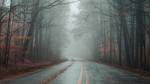 road, fog, forest, autumn, marking, asphalt