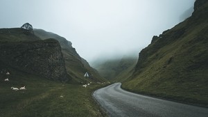 road, fog, turn, mountains