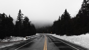 road, fog, turn, snow, cloudy