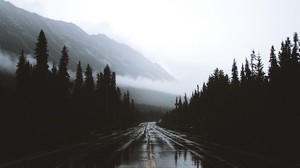 道路、霧、マーキング、山、ウェット、アルバータ、カナダ