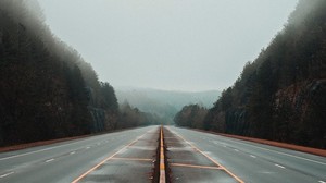 strada, nebbia, marcatura, alberi, linee