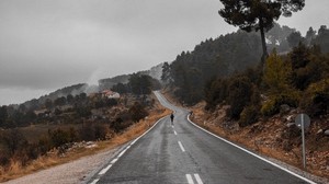 camino, niebla, silueta, soledad, árbol