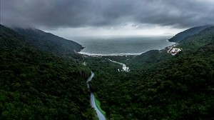 road, fog, top view, forest, sky, sea - wallpapers, picture