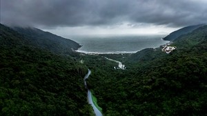 道路、霧、トップビュー、森、空、海