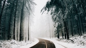 road, fog, winter, trees, turn, asphalt