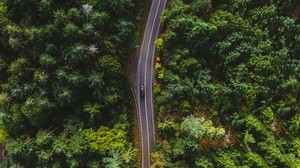 road, top view, trees, car, markup - wallpapers, picture