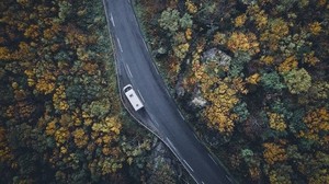 road, top view, trees, autumn, car