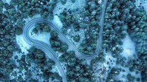 road, top view, winding, trees, treetops