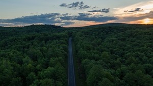 road, top view, forest, horizon, sunset