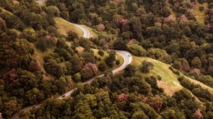 road, top view, hills, trees