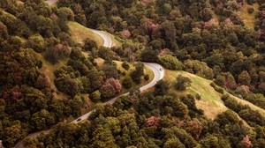 道路，顶视图，丘陵，树木