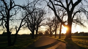 road, sunset, trees, asphalt - wallpapers, picture