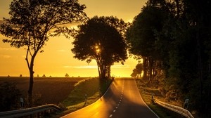 road, sunset, rise, trees