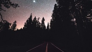 road, starry sky, night, trees, markup