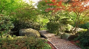 path, stones, garden, trees, autumn, leaves