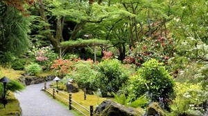walkway, garden, vegetation, abundance, diversity, lights, green, trees, canopy