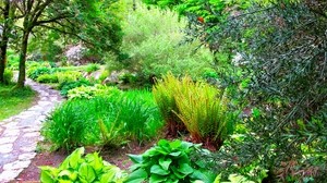 path, garden, green, bright, fern, trees, branches