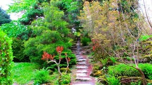 path, garden, green, brightly, vegetation, trees, branches, steps - wallpapers, picture