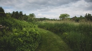 weg, gras, grüns, beschaffenheit, landschaft