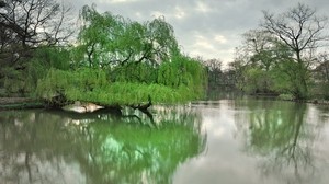 dresden, park, lake, trees, spring - wallpapers, picture