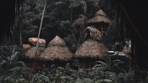 jungle, palm trees, huts, houses, tropics