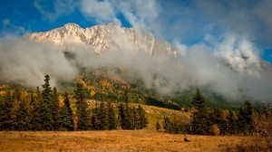 spruce, trees, fog, mountains, autumn, nature, clouds