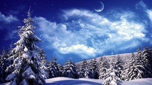 ate, trees, clouds, snow, the moon, sky, snowdrifts