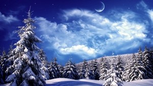 mangiato, alberi, nuvole, neve, luna, cielo, cumuli di neve - wallpapers, picture